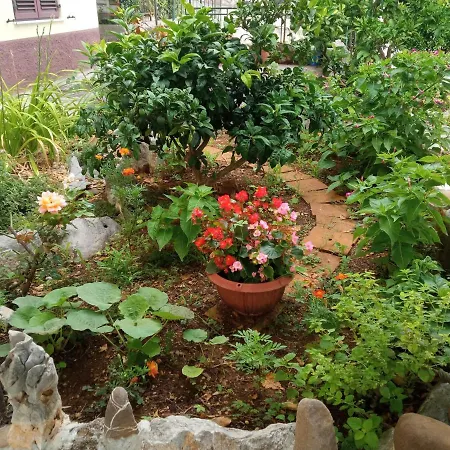 ゲストハウス Gasho リエカ